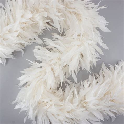 the feather boa